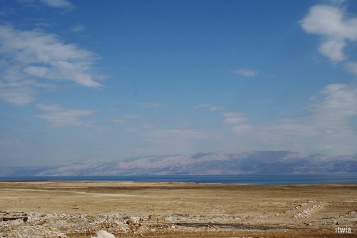 itwia_israel_eingedi8