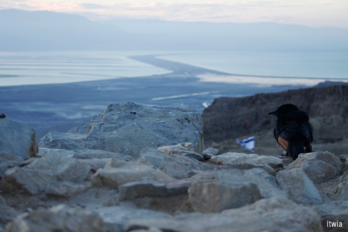 itwia_israel_masada13