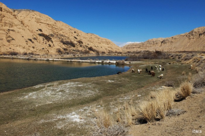 itwia_kirghizie_bokonbaiev4