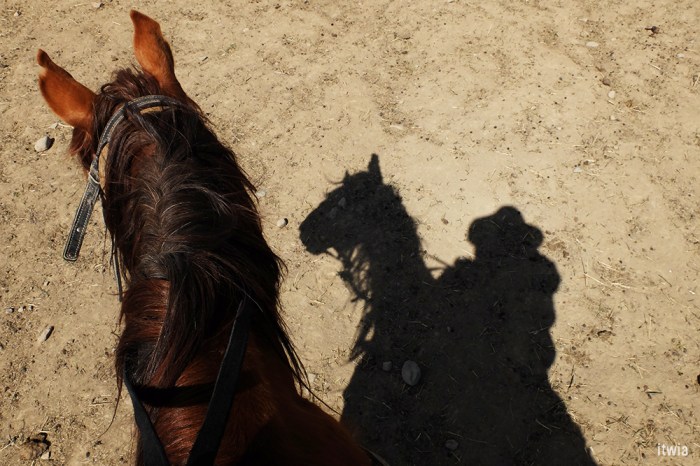 itwia_kirghizie_bokonbaiev6