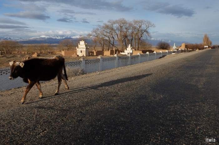 itwia_kirghizie_karakol10