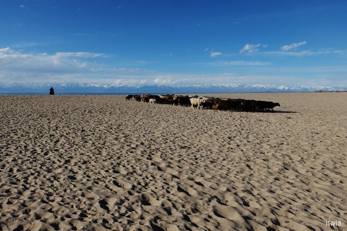 itwia_kirghizie_karakol5