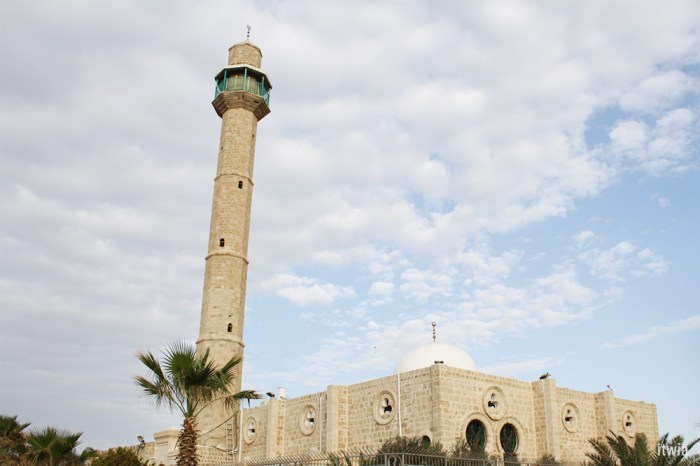 itwia_israel_telaviv34