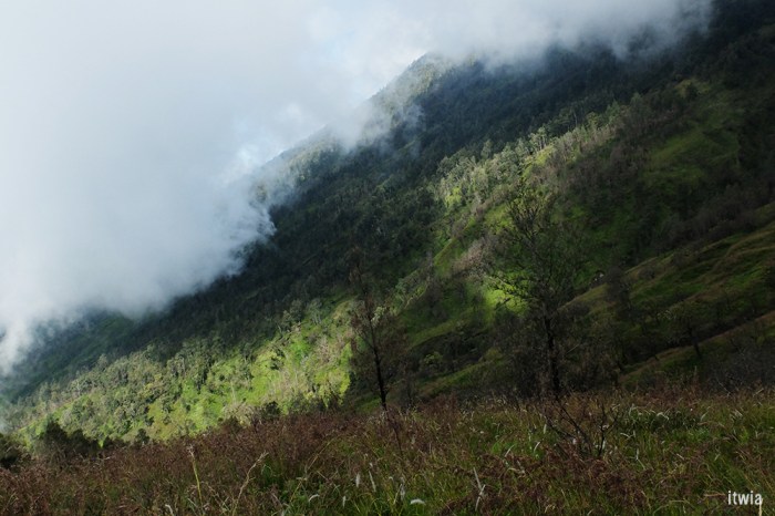 draft_lombok_rinjani13