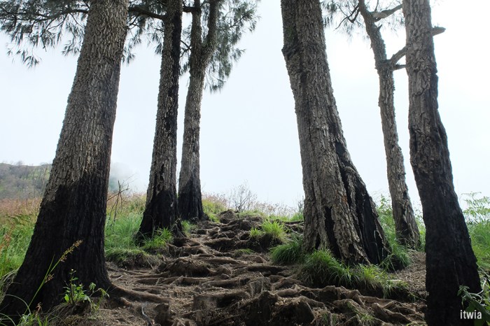 draft_lombok_rinjani14