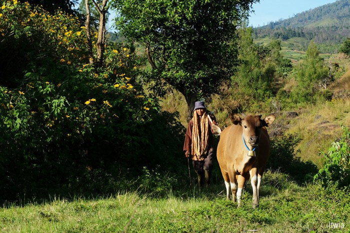 draft_lombok_rinjani24