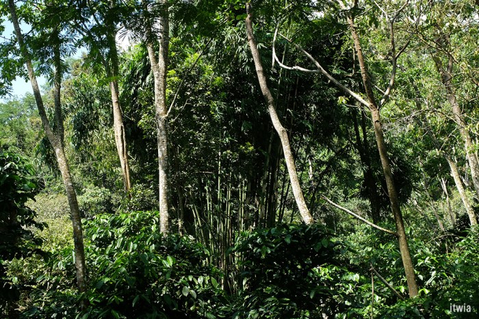 draft_lombok_rinjani26