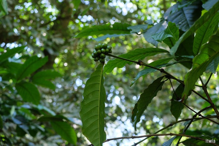 draft_lombok_rinjani27