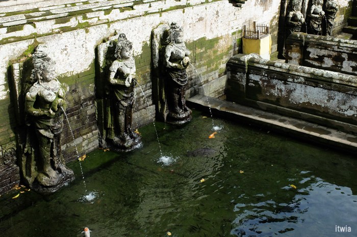 itwia_bali_goagajah2