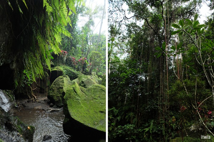 itwia_bali_goagajah4