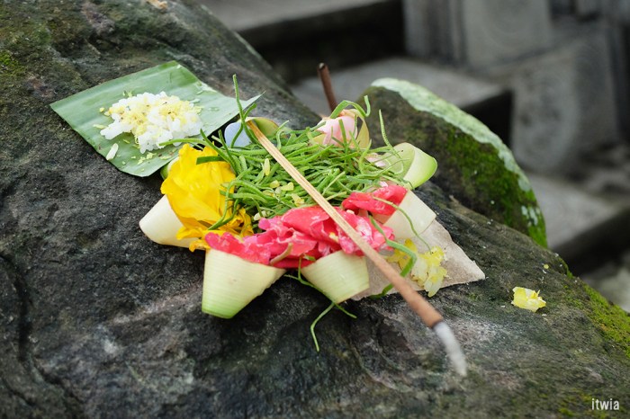 itwia_bali_karangasem5