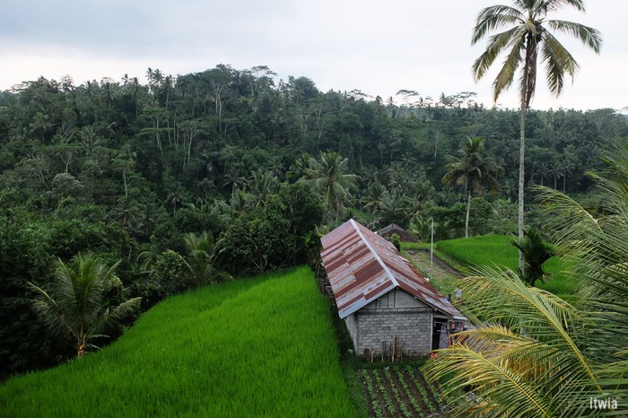 itwia_bali_tampaksiring8