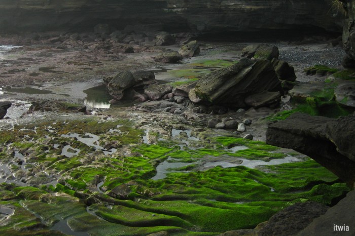 itwia_bali_tanahlot7