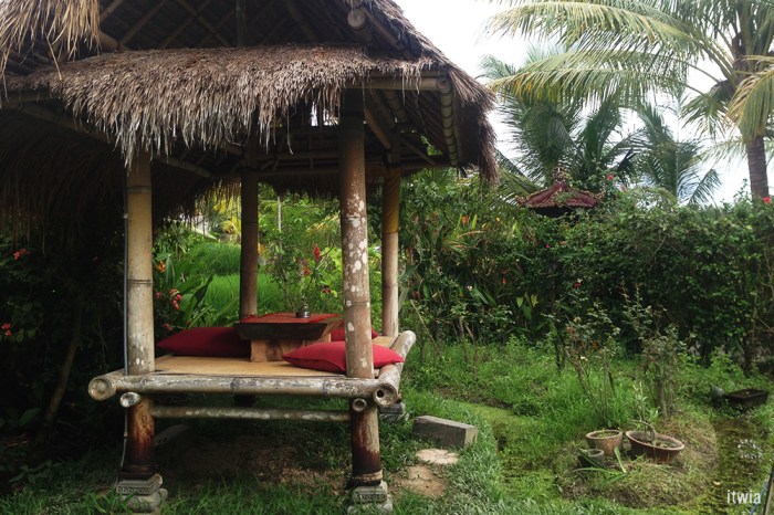 itwia_bali_ubud1
