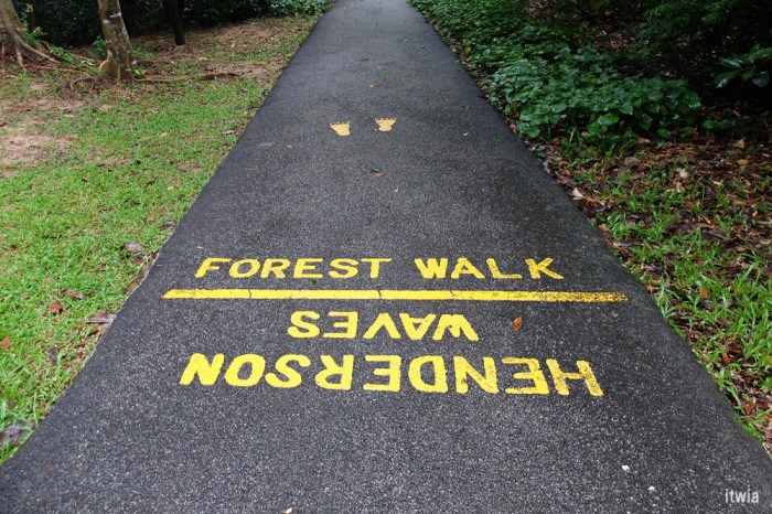 itwia_sgp_henderson6