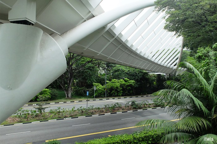 itwia_sgp_henderson8