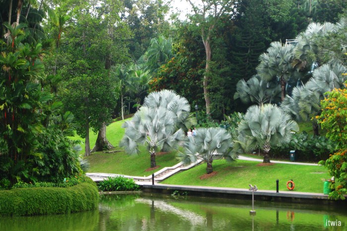 itwia_sgp_hollandvillage2