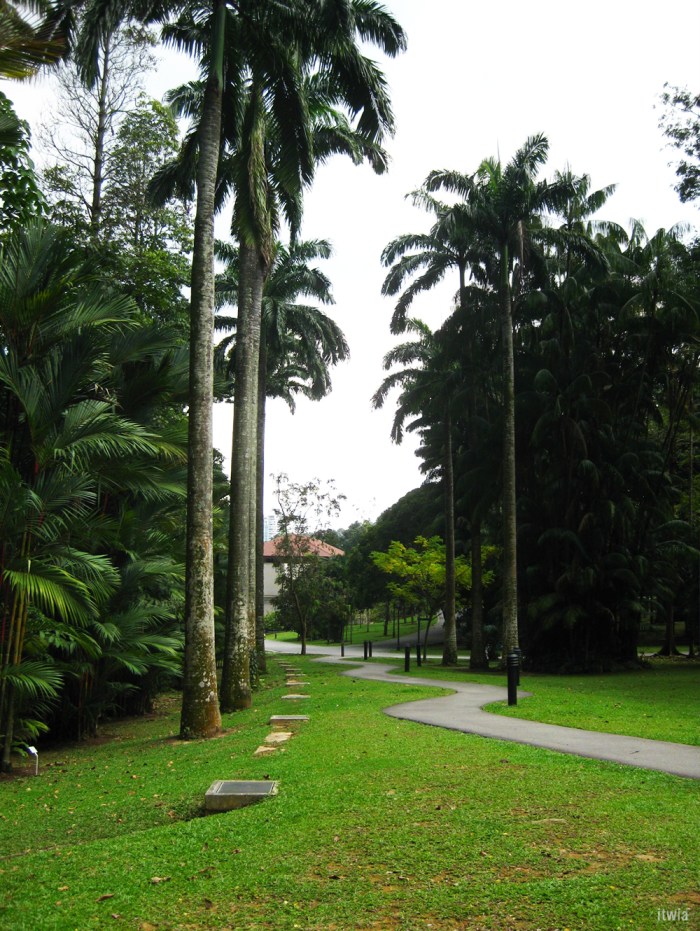 itwia_sgp_hollandvillage5