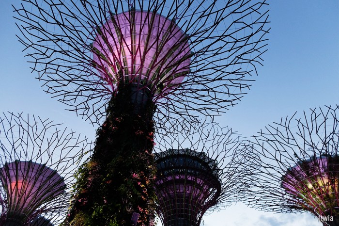 itwia_sgp_marinabay2