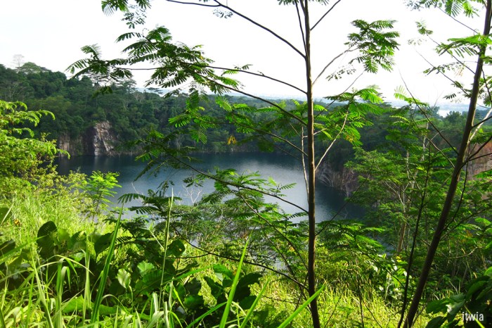 itwia_sgp_pulauubin1