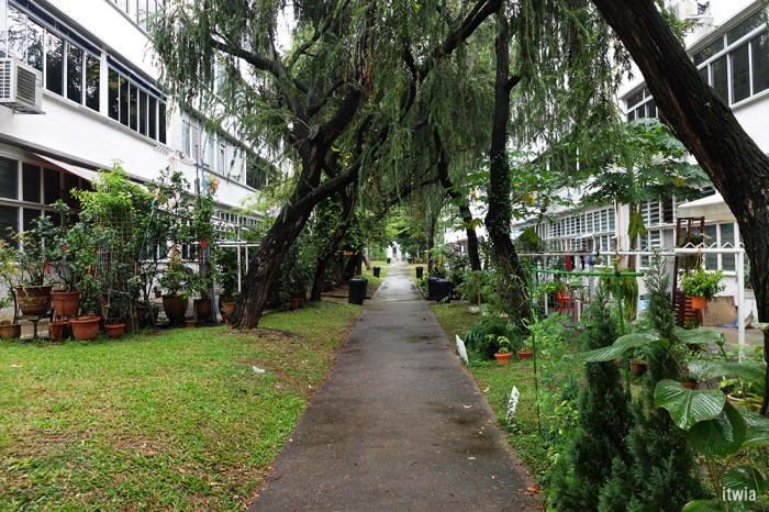 itwia_sgp_tiongbahru3