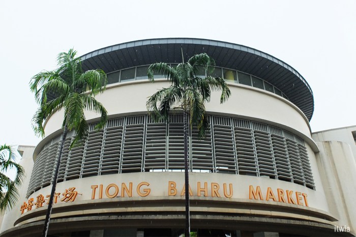 itwia_sgp_tiongbahru7