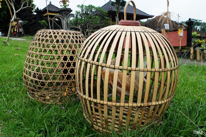 itwia_bali_besakih11