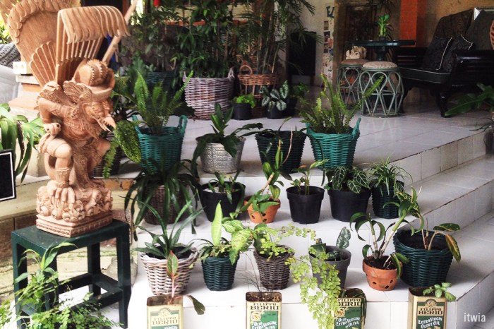 itwia_bali_ubud10