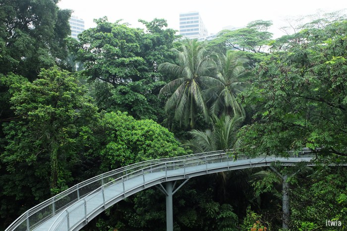 itwia_sgp_henderson14