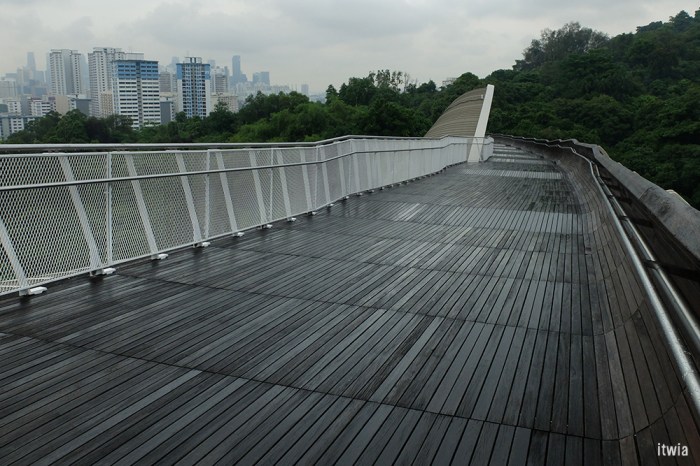 itwia_sgp_henderson15