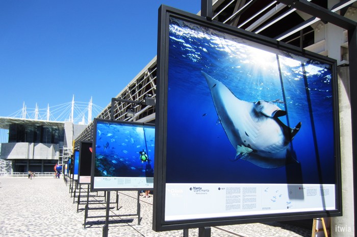 itwia_lisboa_parquedosmill11