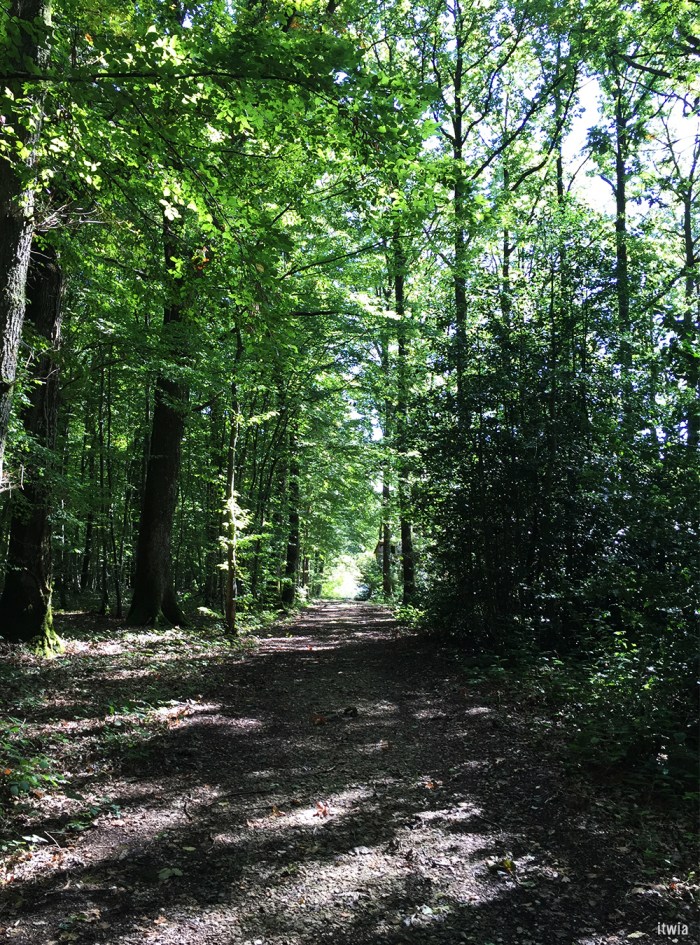 itwia_france_perche26