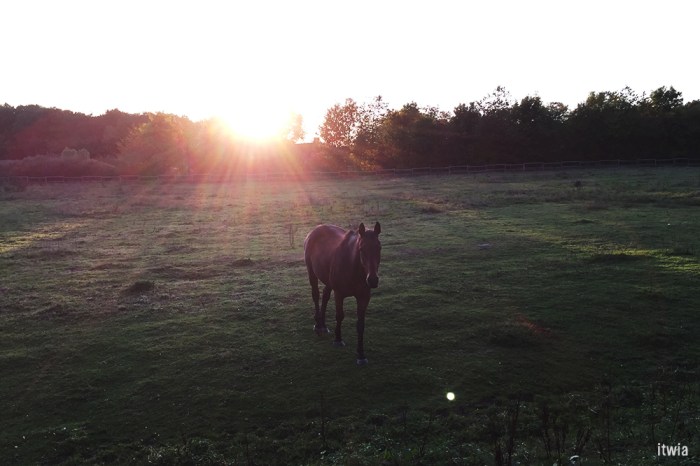 itwia_france_perche36