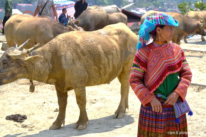 itwia_vietnam_bacha1