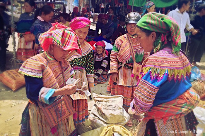 itwia_vietnam_bacha2