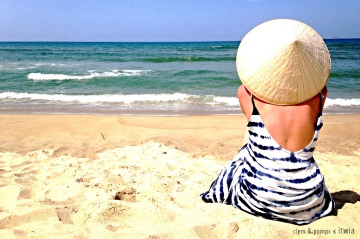 itwia_vietnam_hoihan14