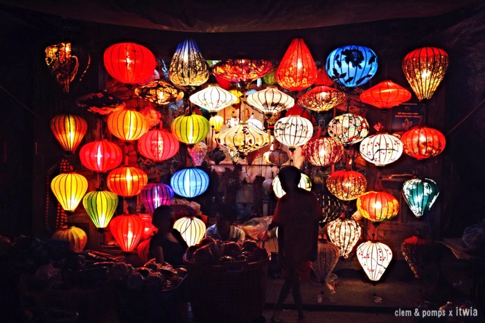 itwia_vietnam_hoihan7