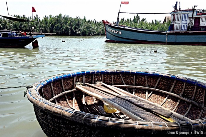 itwia_vietnam_hoihan9