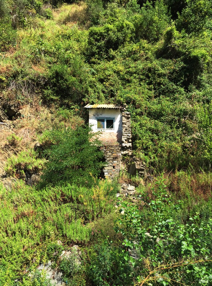 itwia_italie_cinqueterre20