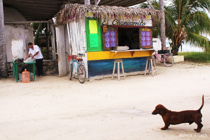 itwia_mexique_holbox3