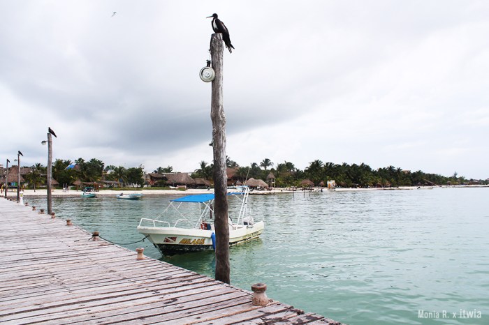 itwia_mexique_holbox9