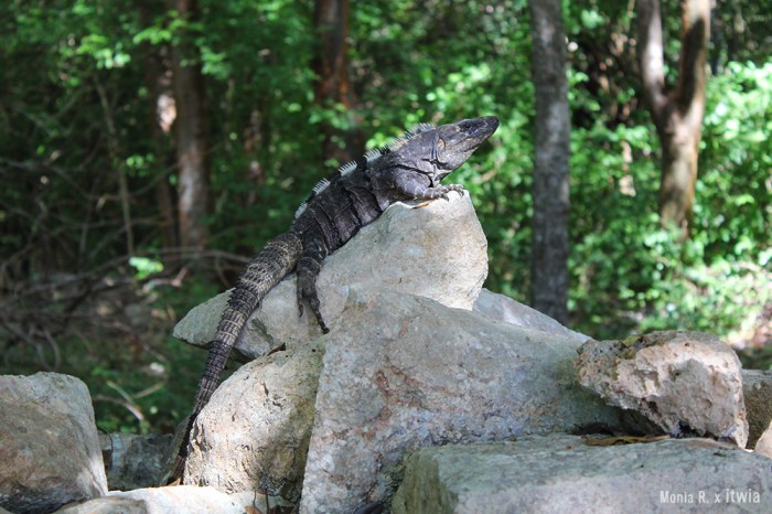 itwia_mexique_uxmal2