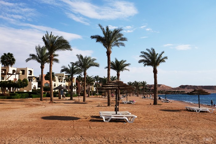 itwia_jordanie_aqaba11