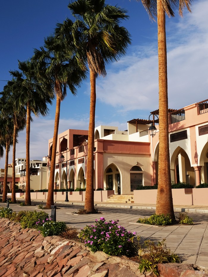 itwia_jordanie_aqaba8