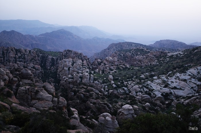 itwia_jordanie_dana16