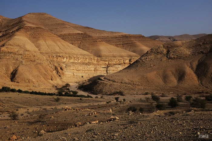 itwia_jordanie_dana18