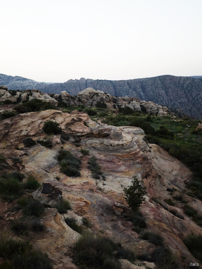 itwia_jordanie_dana23