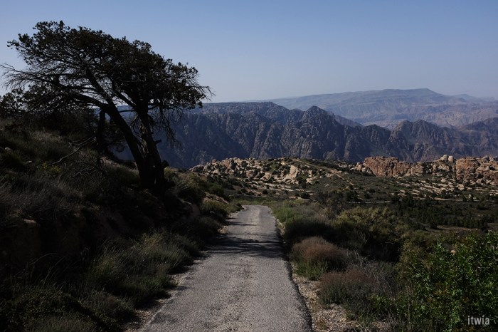 itwia_jordanie_dana5