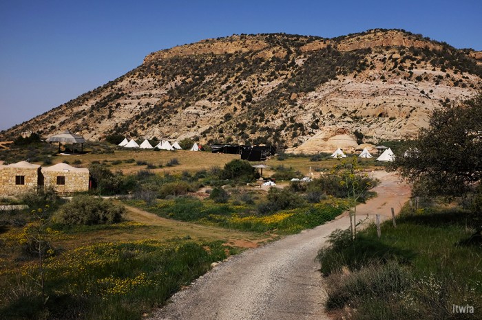 itwia_jordanie_dana6