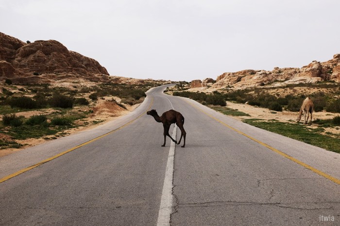 itwia_jordanie_littlepetra13